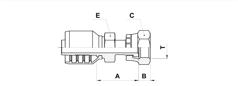 F6-2020-OFS