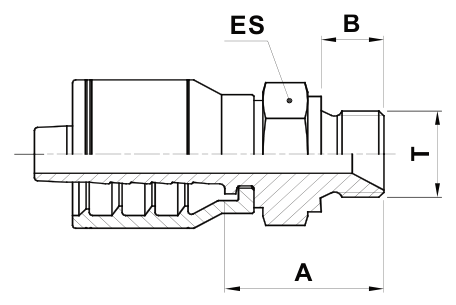 Texcel F2-0404-BPM - 1/4 in BSPP Male Hose End