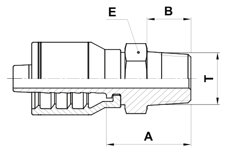 Texcel F2-1616-BTM - 1 in Bspt Male Hose End