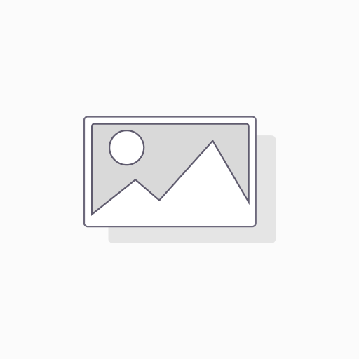 BMRS-250 H2-S-S