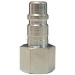 QD DCP2023